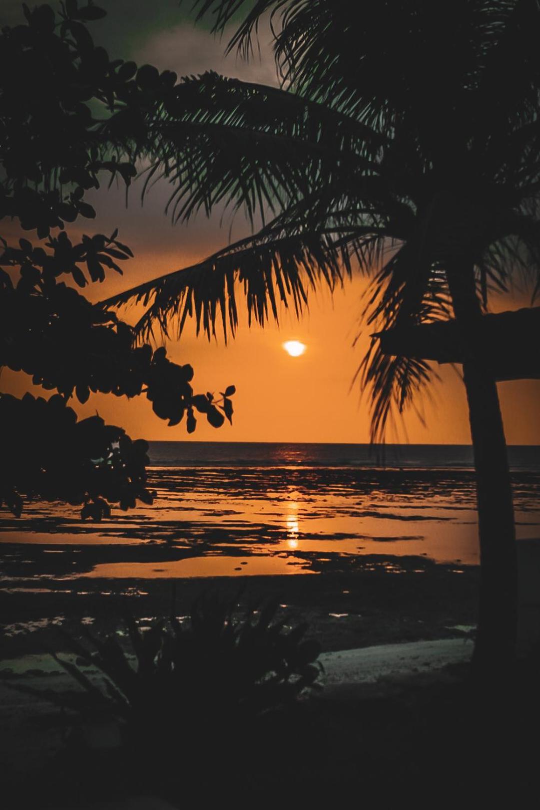 Sumatra Surf Resort Biha Buitenkant foto